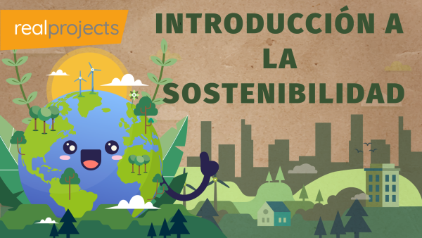 Introdu√ß√£o √† Sustentabilidade