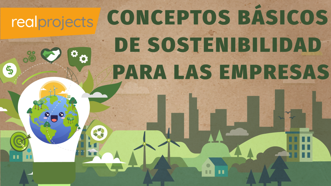 Conceptos básicos de sostenibilidad para las empresas