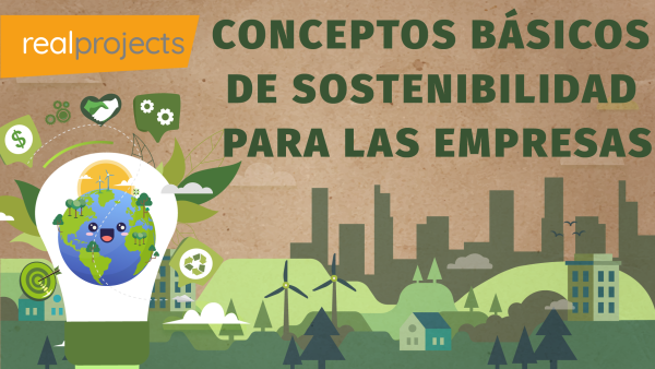 Conceptos básicos de sostenibilidad para las empresas