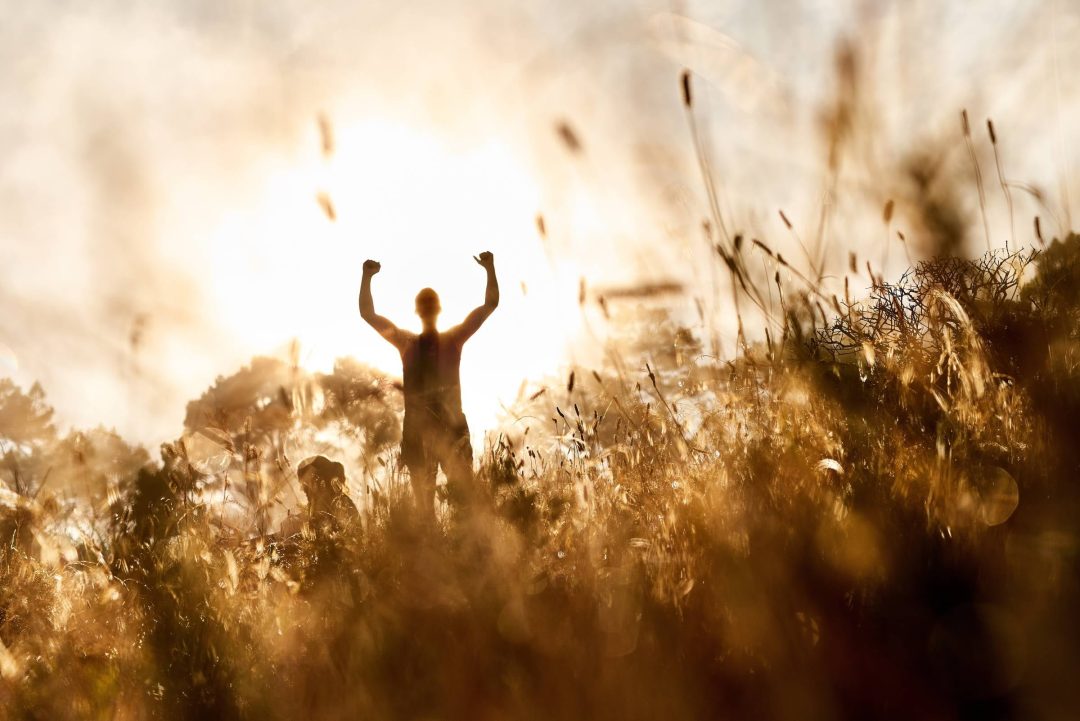 Stress Management: Images of Resilience