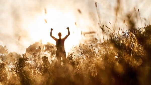 Stress Management: Images of Resilience