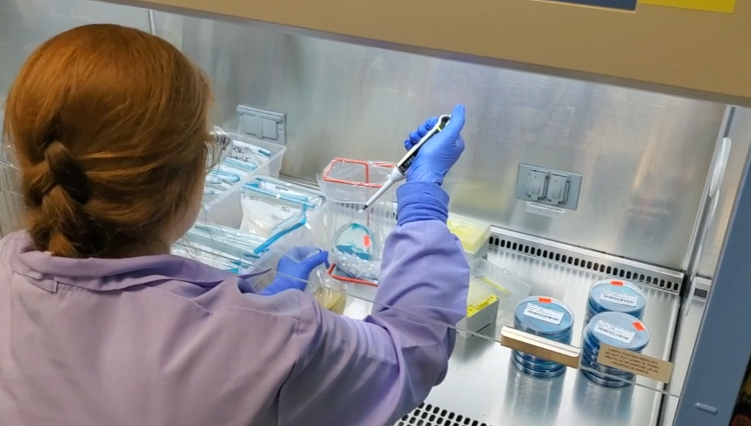 Chemical Fume Hoods Lab: Risks and Exposures