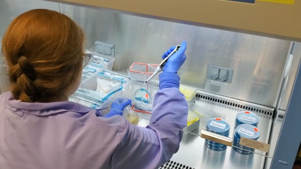 Chemical Fume Hoods Lab: Risks and Exposures
