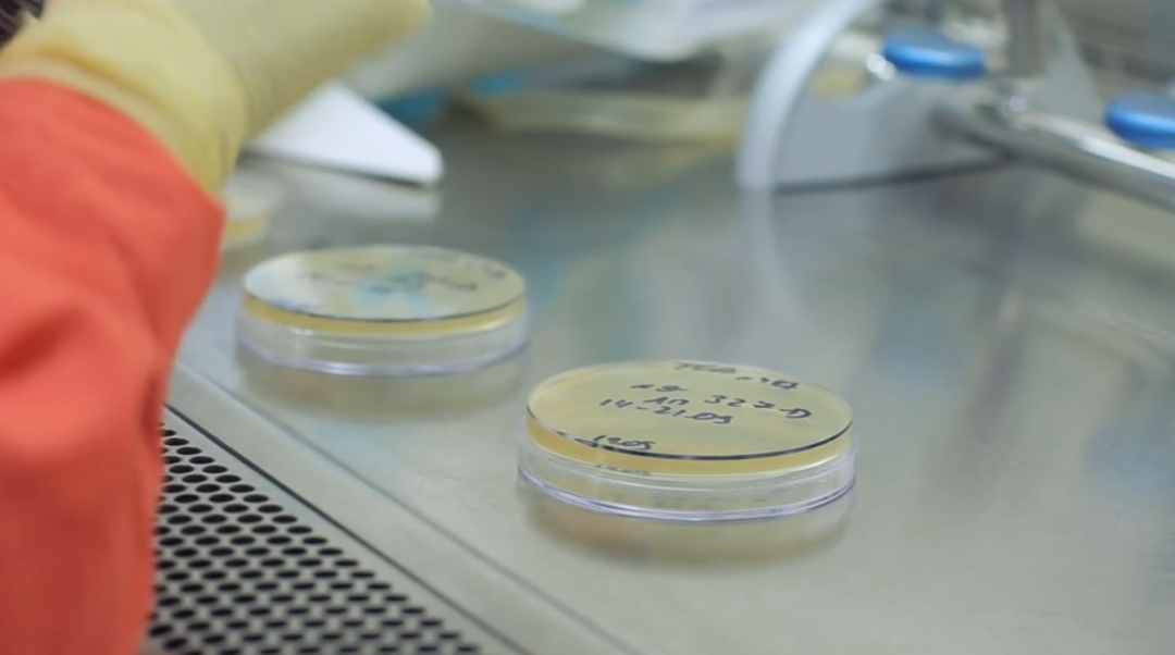 Latex Standard Lab: Latex Prevention