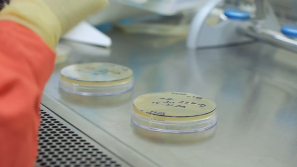 Latex Standard Lab: Latex Prevention