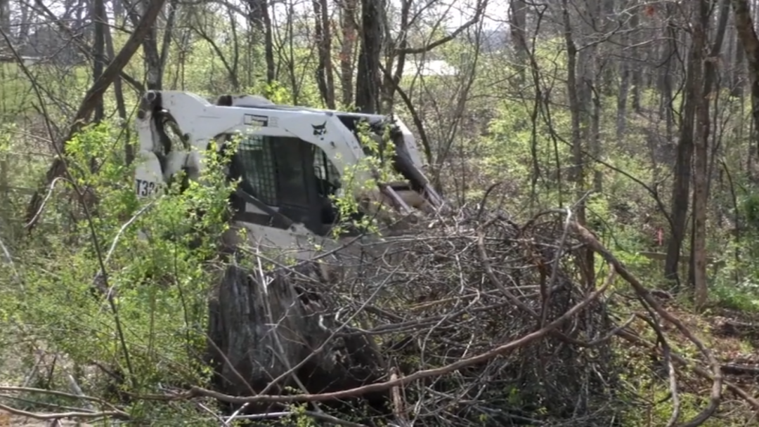 Skid Steer Loaders: Orientation