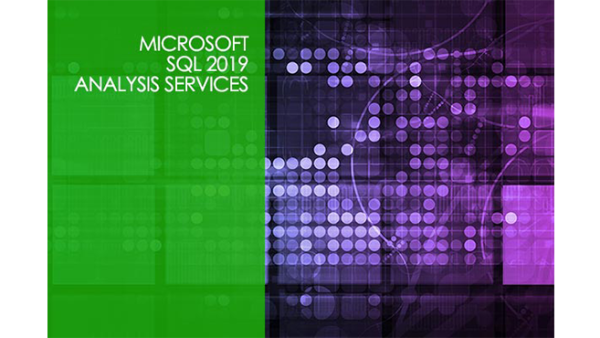 Microsoft SQL Server 2019 Analysis Services (SSAS)