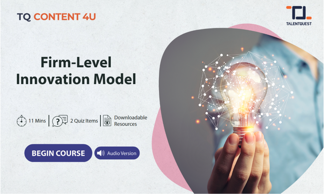 Firm-Level Innovation Model