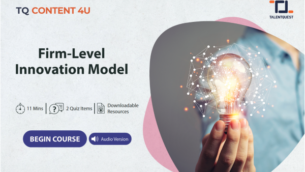 Firm-Level Innovation Model