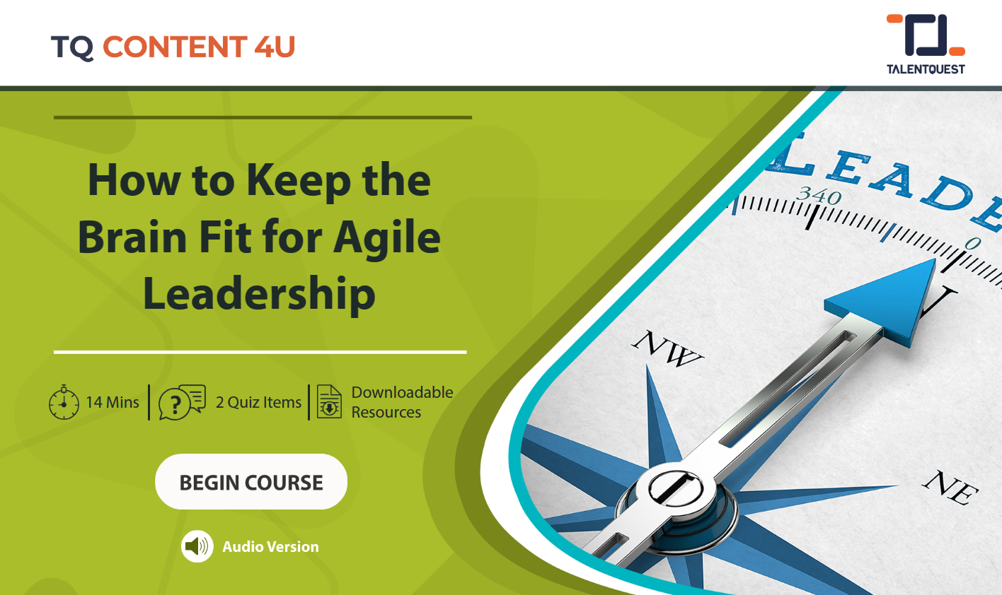 How to Keep the Brain Fit for Agile Leadership