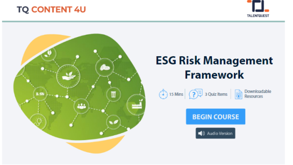 ESG Risk Management Framework