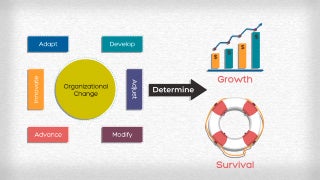 Organization Changes Needed For Internal Digital Transformation