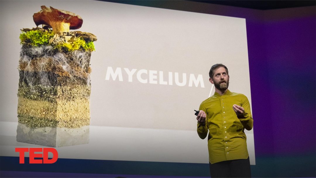 The future of fashion ‚Äî made from mushrooms | Dan Widmaier | TED Talk
