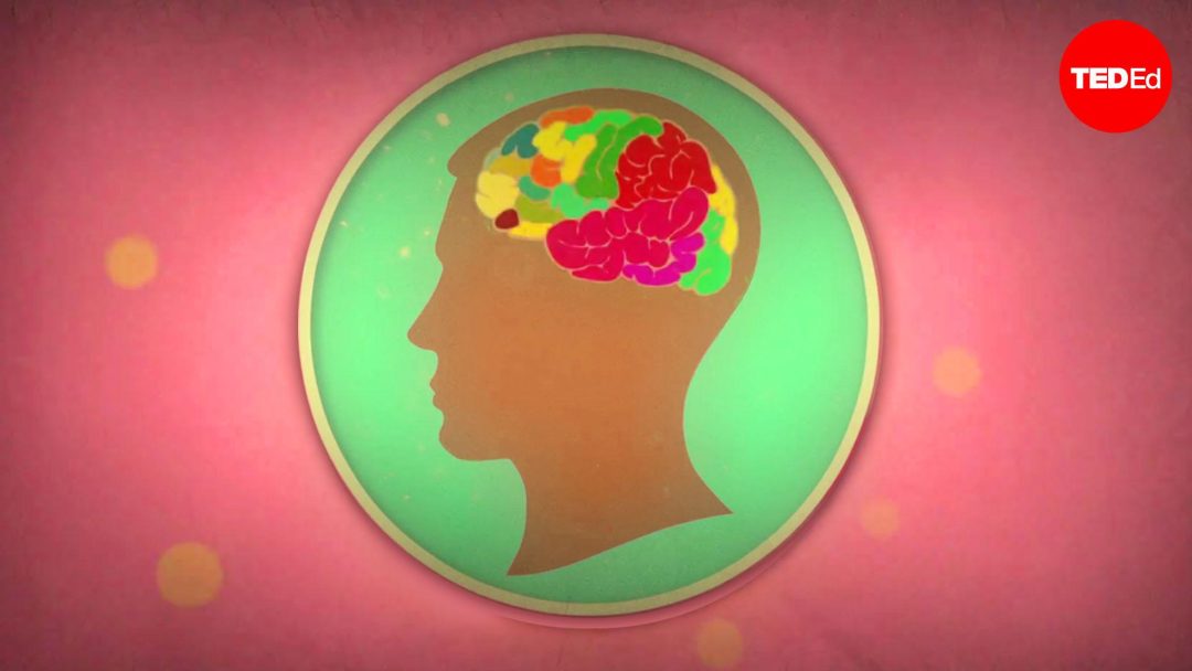 What is Alzheimer's disease? | Ivan Jun | TED-Ed Animation