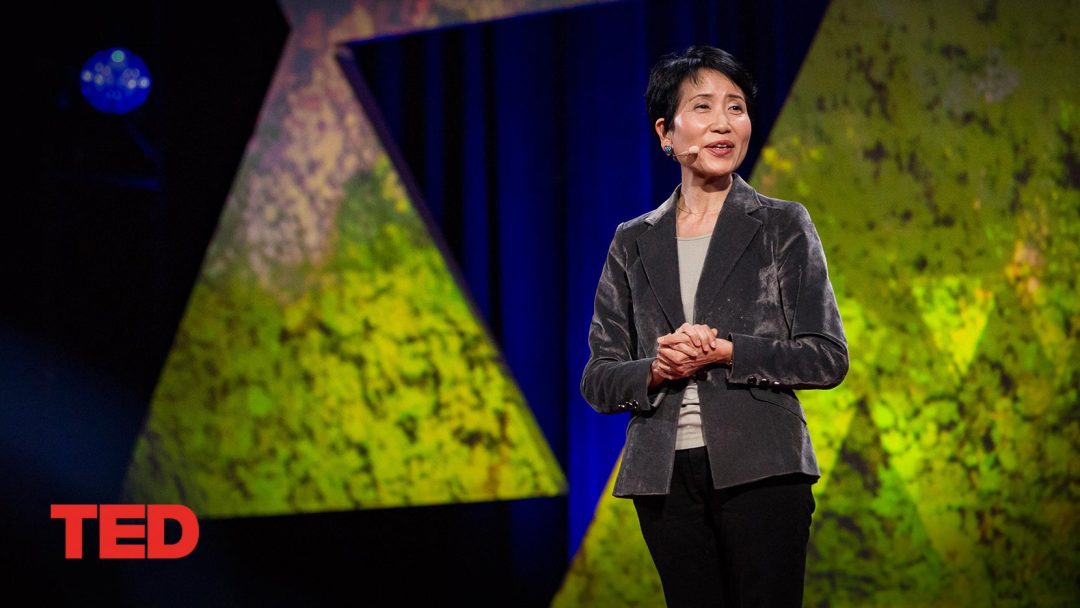 An economic case for protecting the planet | Naoko Ishii | TED Talk