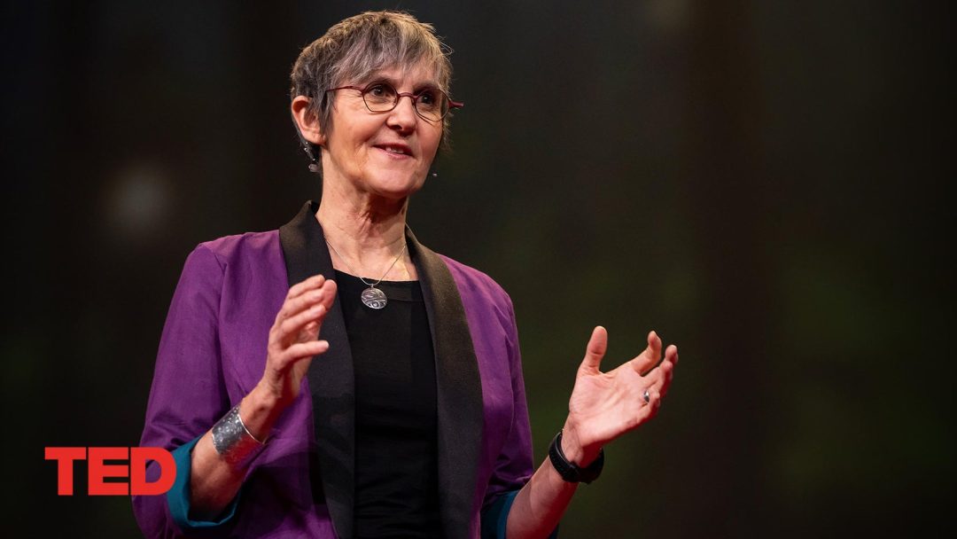 Why are we making pizza boxes out of endangered trees? | Nicole Rycroft | TED Talk
