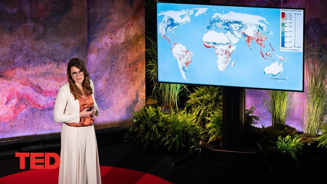 The blind spots of the green energy transition | Olivia Lazard | TED Talk