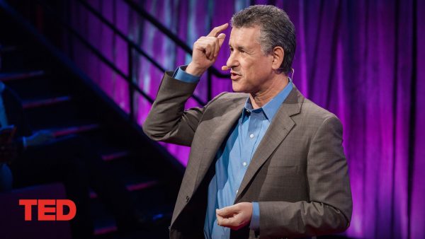 How to stay calm when you know you'll be stressed | Daniel Levitin | TED Talk