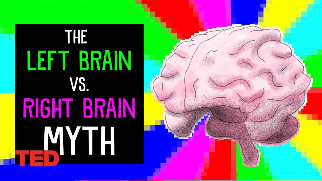 The left brain vs. right brain myth | Elizabeth Waters | TED-Ed Animation