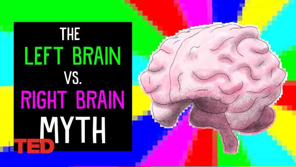 The left brain vs. right brain myth | Elizabeth Waters | TED-Ed Animation