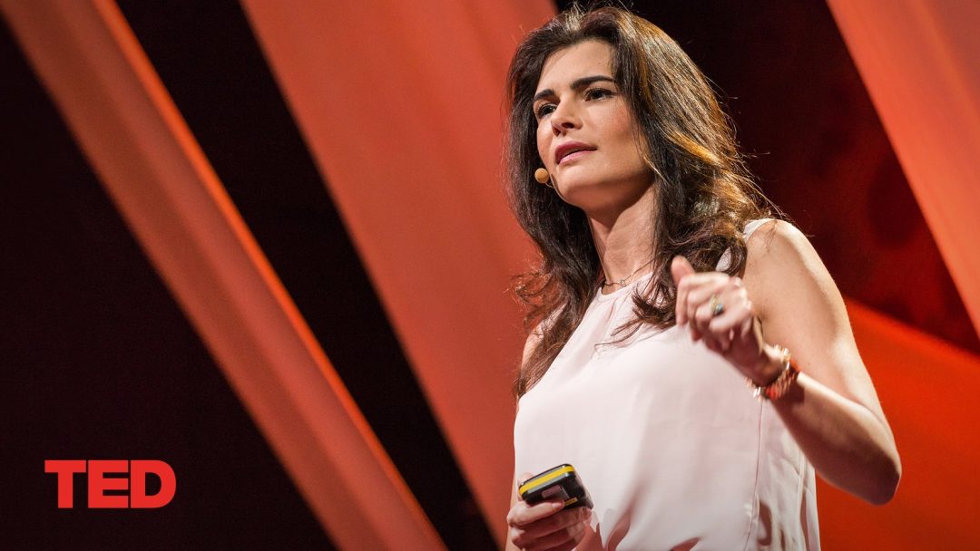 3 lessons on success from an Arab businesswoman | Leila Hoteit | TED Talk
