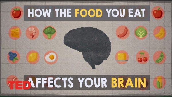 How the food you eat affects your brain | Mia Nacamulli | TED-Ed Animation