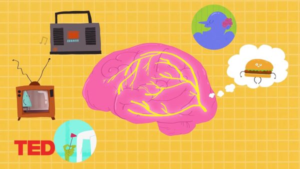How fast is the speed of thought? | Seena Mathew | TED-Ed Animation