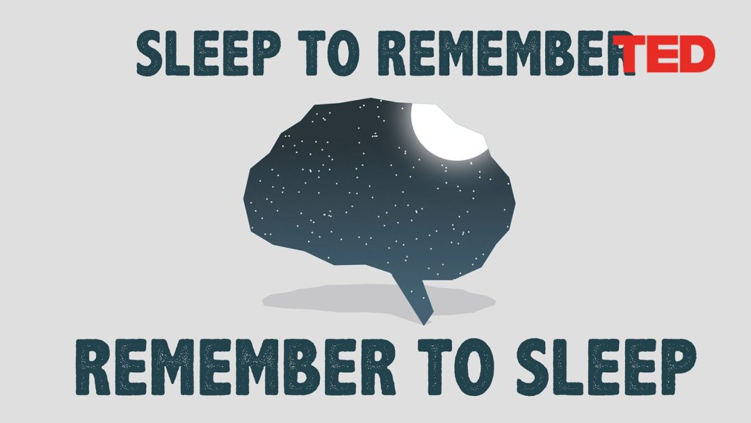 The benefits of a good night's sleep | Shai Marcu | TED-Ed Animation