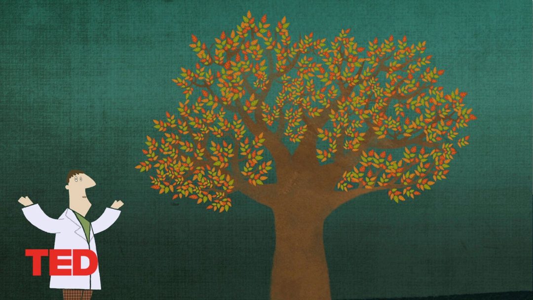 Big Data | Tim Smith | TED-Ed Animation