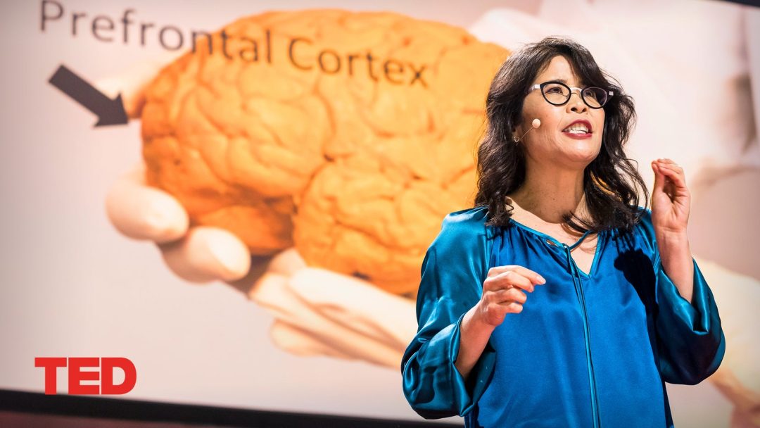The brain-changing benefits of exercise | Wendy Suzuki | TED Talk