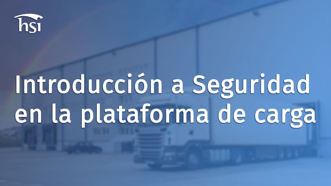 Introducción a seguridad en la plataforma de carga