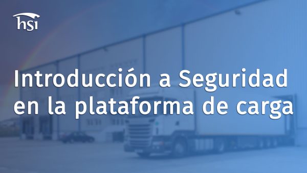 Introducción a seguridad en la plataforma de carga