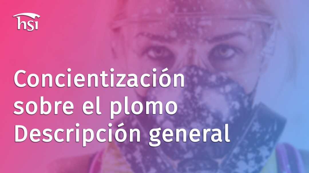 Concientización sobre el plomo - descripción general