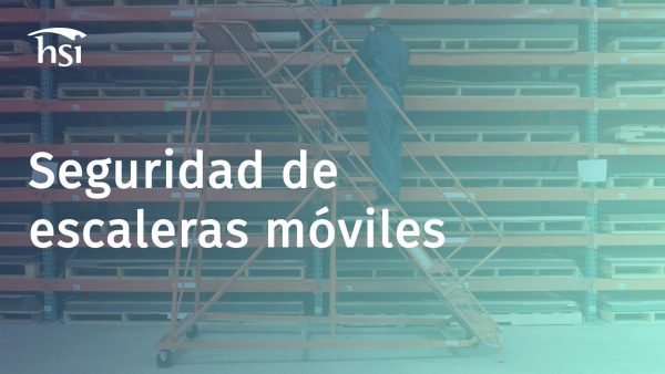 Seguridad de escaleras móviles