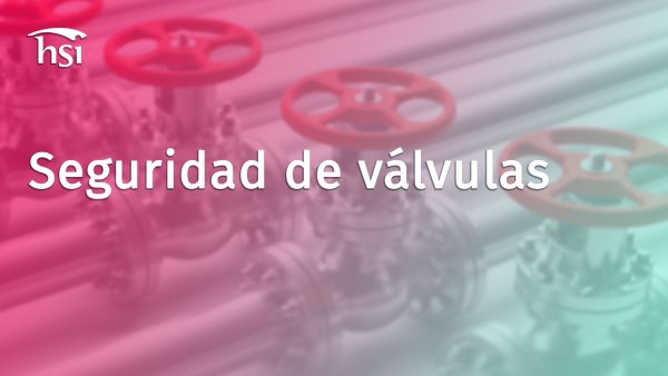 Seguridad de válvulas