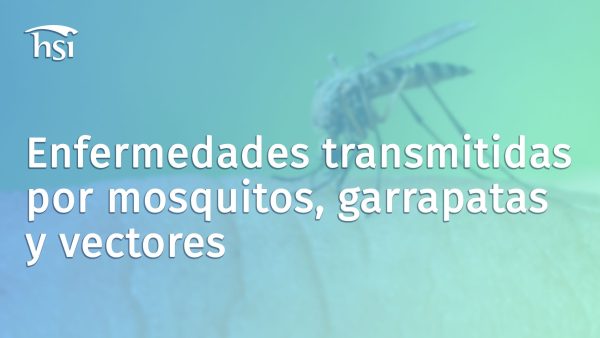 Enfermedades transmitidas por mosquitos, garrapatas, y vectores