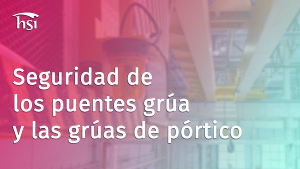 Seguridad de los puentes gr√∫a y las gr√∫as de pórtico