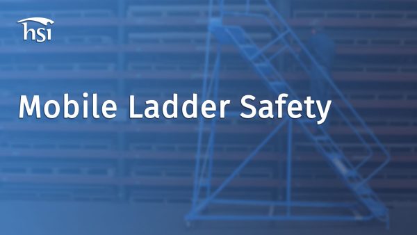 Mobile Ladder Safety