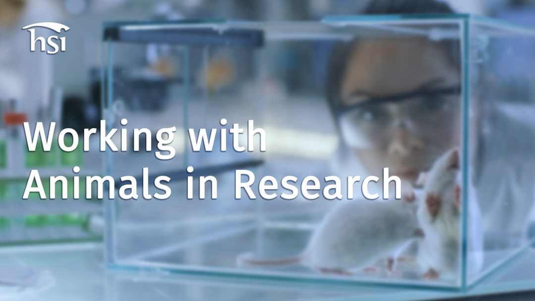 Working with Animals in Research