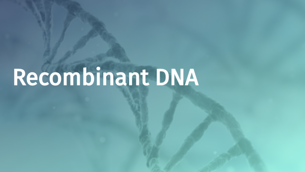 Recombinant DNA
