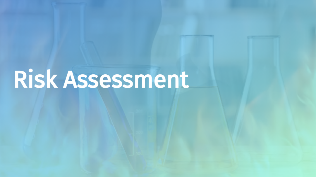 Risk Assessment