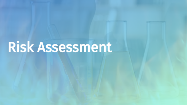 Risk Assessment