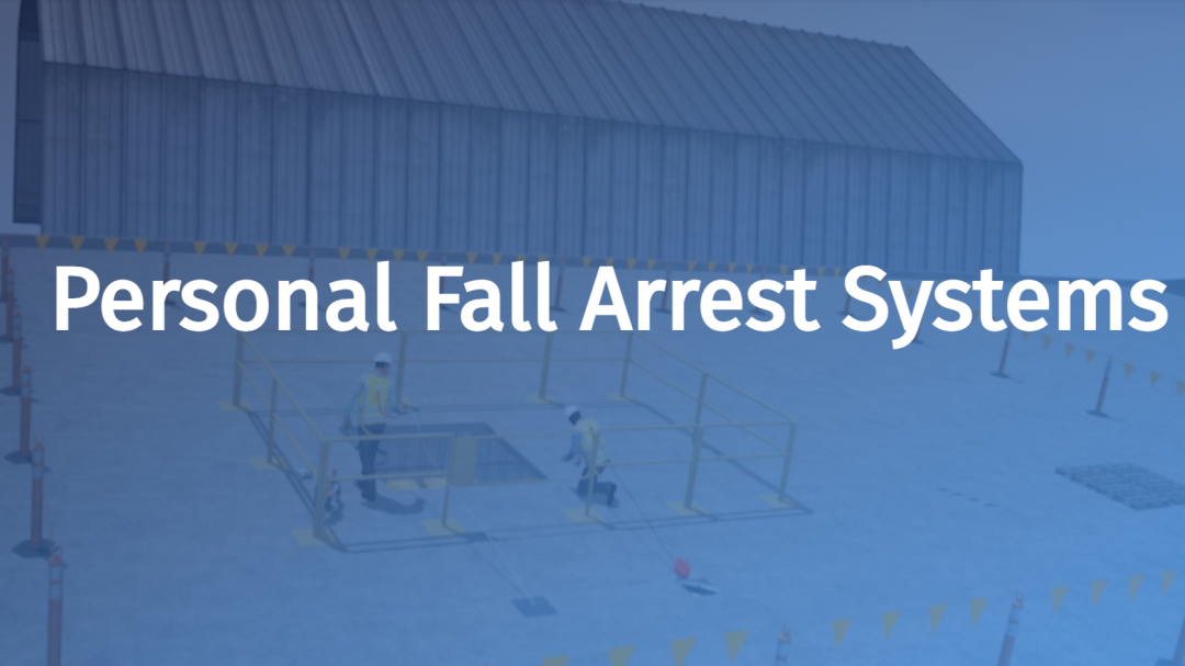 Personal Fall Arrest Systems