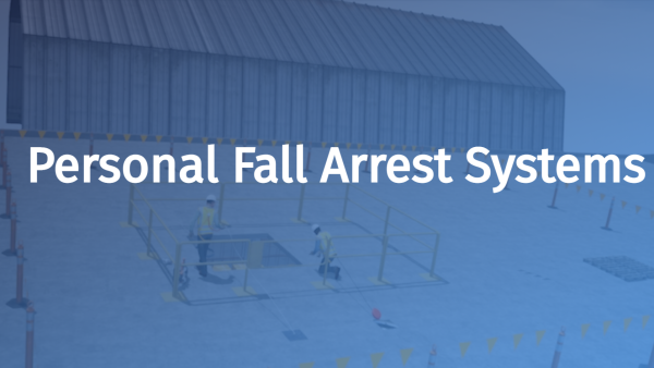 Personal Fall Arrest Systems