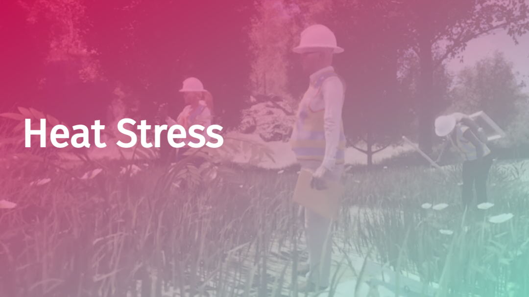 Heat Stress