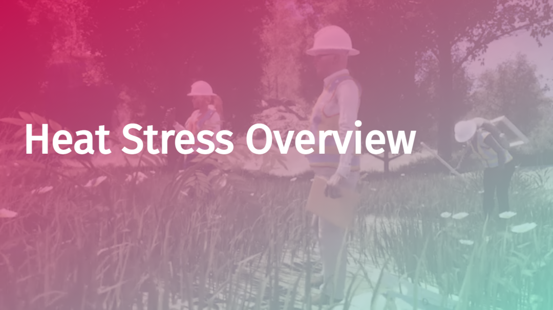Heat Stress: Overview
