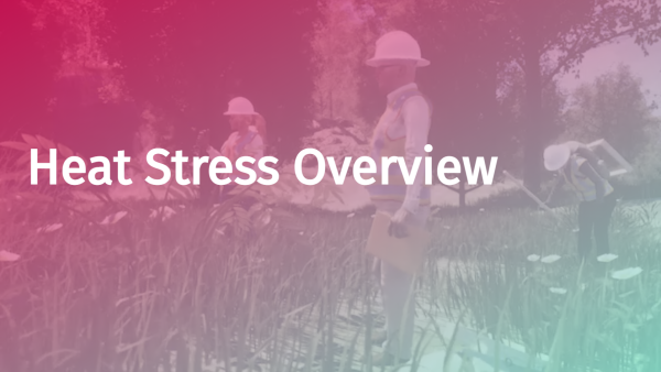 Heat Stress: Overview