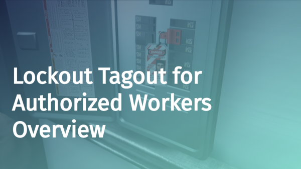 Lockout/Tagout (LOTO) for Authorized Workers: Overview