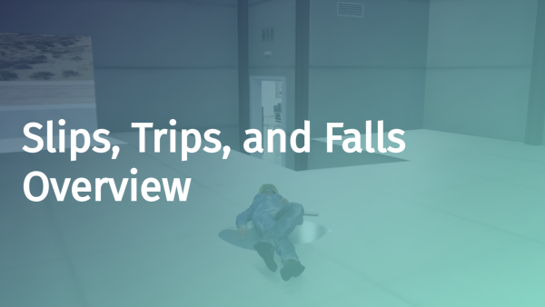 Slips, Trips, and Falls: Overview
