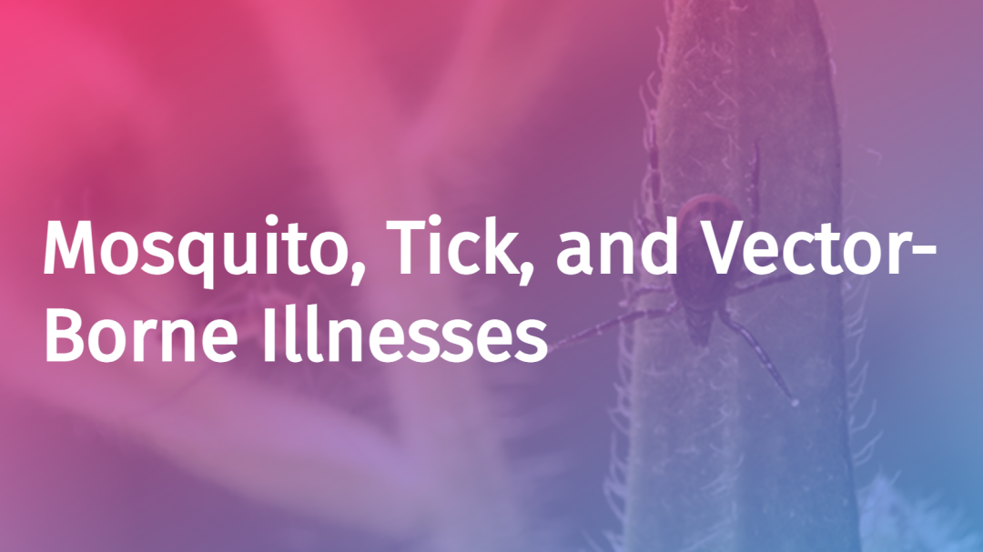 Mosquito, Tick, and Vector-Borne Illnesses